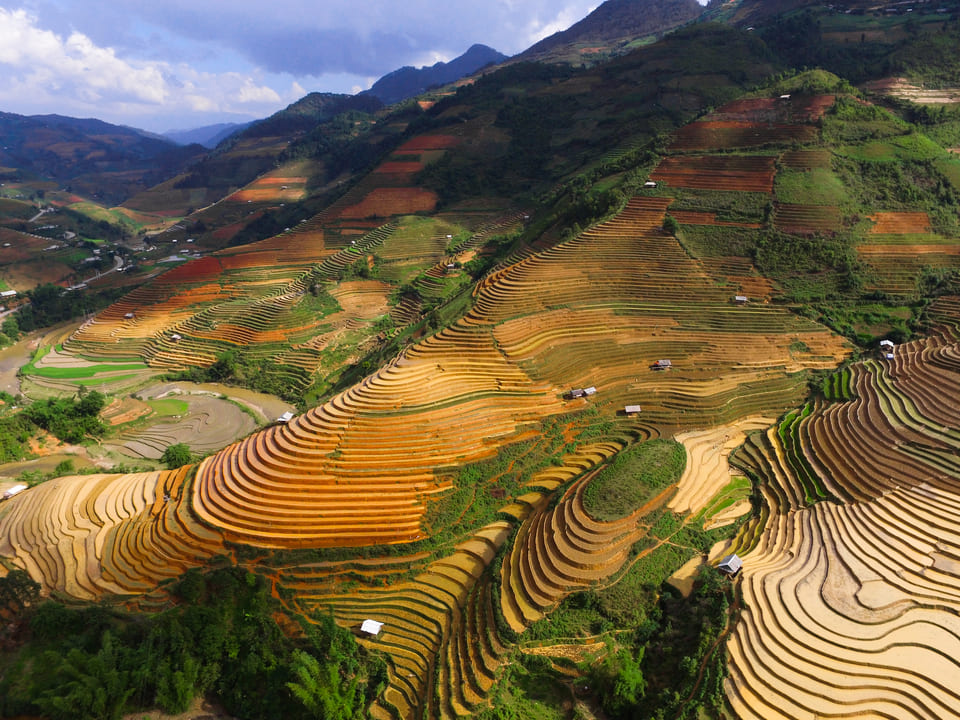 Du lịch Tây Bắc tháng 9 mùa lúa chín Mù Cang Chải